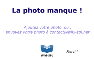 La-photo-manque 1.png