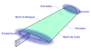 Cellule profil vocabulaire.png